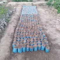 Green Seekers Activity